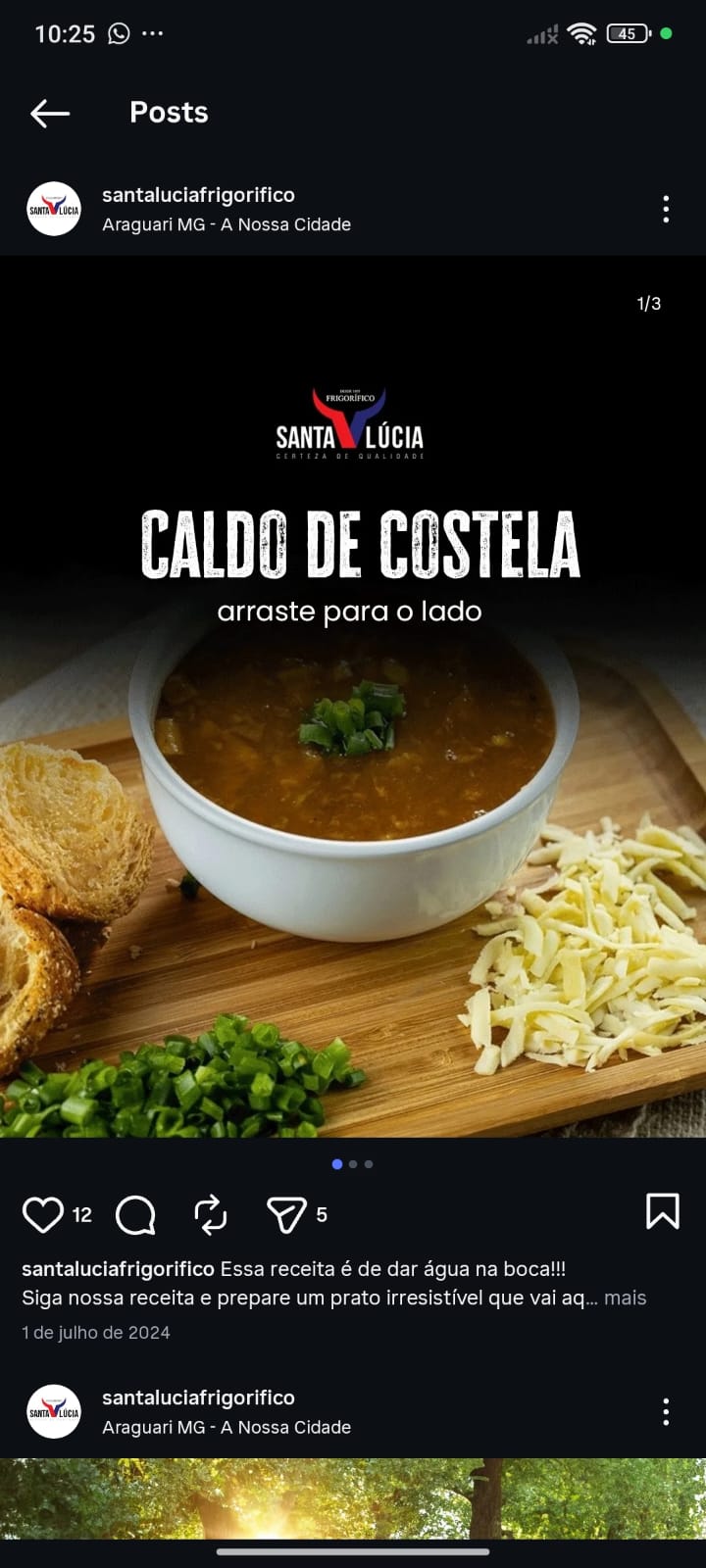 Caldo de Costela